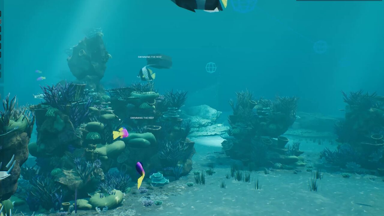 Angelfish swimming above the reef in the Coral Reef demo